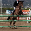 Salto de Obstáculos