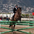 Salto de Obstáculos