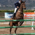 Salto de Obstáculos