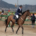 Salto de Obstáculos