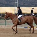 Salto de Obstáculos