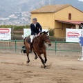 Salto de Obstáculos