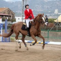 Salto de Obstáculos