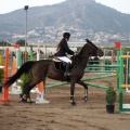 Salto de Obstáculos