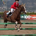 Salto de Obstáculos