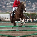 Salto de Obstáculos