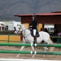 Salto de Obstáculos