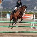 Salto de Obstáculos