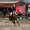 Salto de Obstáculos