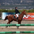 Salto de Obstáculos