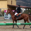 Salto de Obstáculos