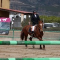 Salto de Obstáculos