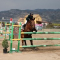 Salto de Obstáculos