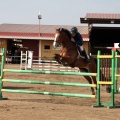 Salto de Obstáculos