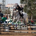 Salto de Obstáculos