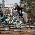 Salto de Obstáculos