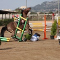 Salto de Obstáculos