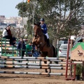 Salto de Obstáculos