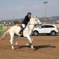 Salto de Obstáculos