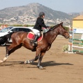 Salto de Obstáculos