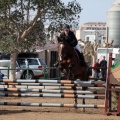 Salto de Obstáculos