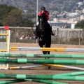 Salto de Obstáculos