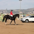 Salto de Obstáculos