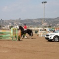 Salto de Obstáculos