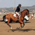 Salto de Obstáculos