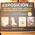 Castellón, Exposición solidaria