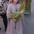 Domingo de Ramos