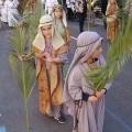 Domingo de Ramos