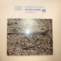 Present Continu: Quaranta anys de la Galeria Cànem
