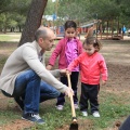 Castellón, 2015