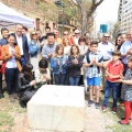 Castellón, 2015
