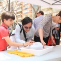 Castellón, 2015