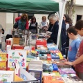 Castellón, Benicàssim Cultura