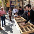 Castellón, Benicàssim Cultura