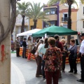 Castellón, Benicàssim Cultura