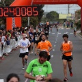 Circuito 5K