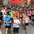 Circuito 5K