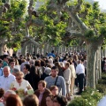 Procesión Virgen Lledó