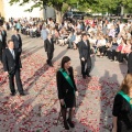 Procesión Virgen Lledó