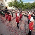 Procesión Virgen Lledó