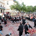 Procesión Virgen Lledó