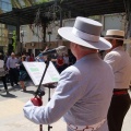 Benicàssim Flamenco Fusison Gastro Festival