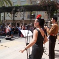 Benicàssim Flamenco Fusison Gastro Festival