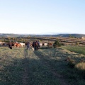 Trashumancia, Fernando Robres