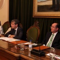 Pleno ayuntamiento de Castellón
