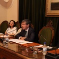 Pleno ayuntamiento de Castellón